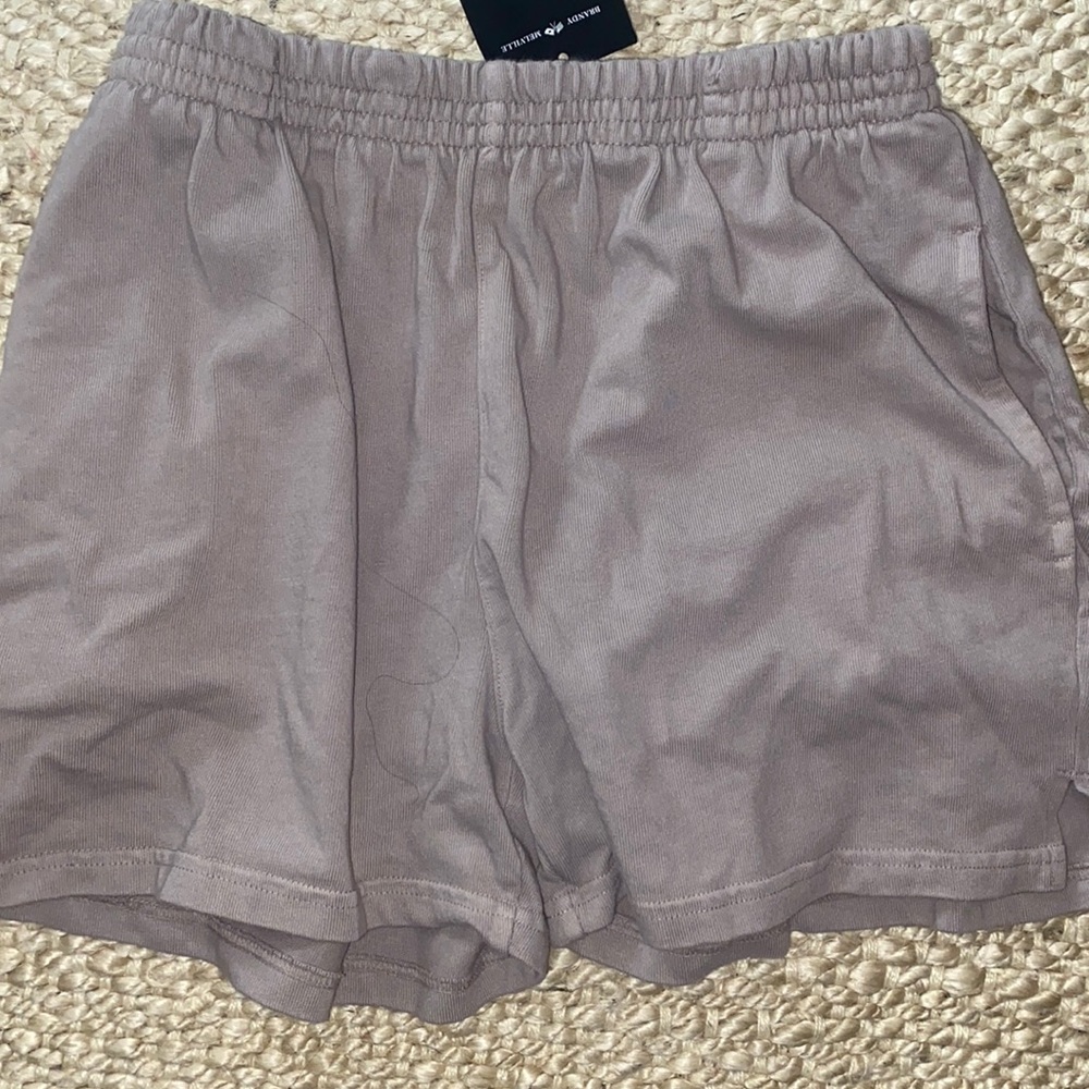 COPY - Never worn brandy Melville shorts